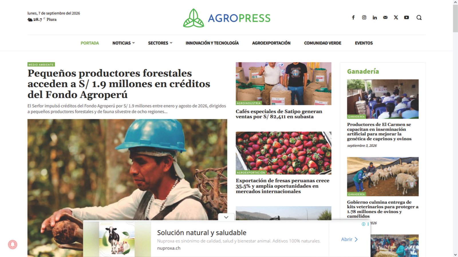 AGROPRESS PE SONIDIA FOTO scaled